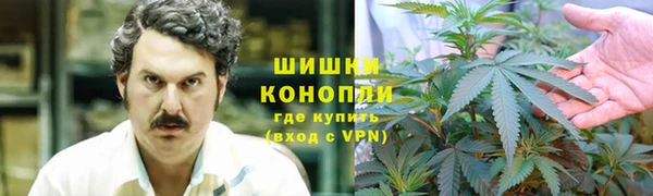 ГАЛЛЮЦИНОГЕННЫЕ ГРИБЫ Абинск