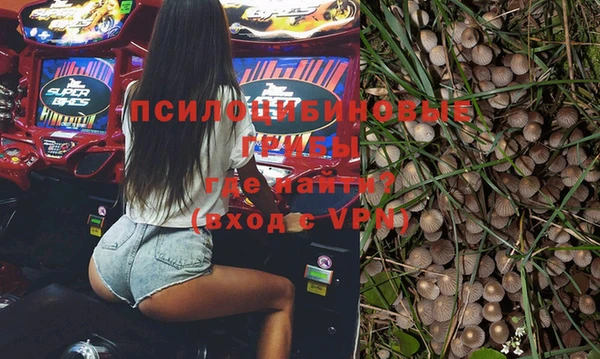 ГАЛЛЮЦИНОГЕННЫЕ ГРИБЫ Абинск