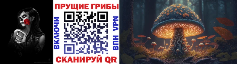 Псилоцибиновые грибы GOLDEN TEACHER наркотики KRAKEN зеркало Шахты