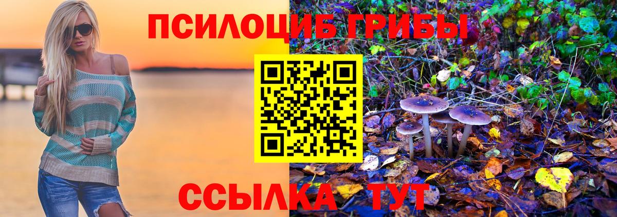 Шахты  Галлюциногенные грибы MAGIC MUSHROOMS  Вход с VPN 